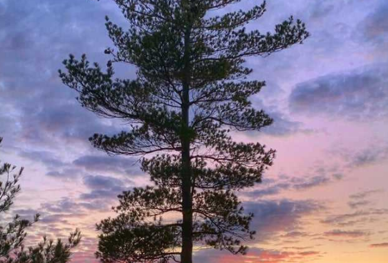 重慶智能家居加盟：相比傳統(tǒng)家居，智能家居的優(yōu)勢(shì)是什么？