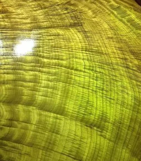 金絲楠烏木：如何區(qū)別金絲楠、黃心楠、黃金樟