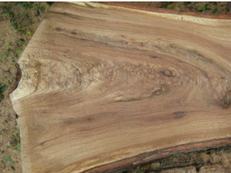 上海家庭裝修風(fēng)格;美國(guó)白橡木皮另一面—特殊紋理和色彩變化