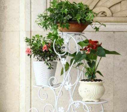 【室內(nèi)花架子】家用花架材質(zhì)都分為哪些？花架挑選技巧分享推薦