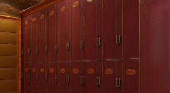 浴室全塑更衣柜：浴室更衣柜有什么材質？浴室更衣柜電子感應鎖好不好？