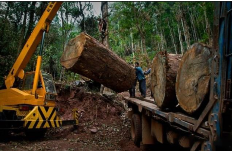 【新中式家具定制】中式家具選購(gòu)、陳設(shè)、保養(yǎng)全攻略！