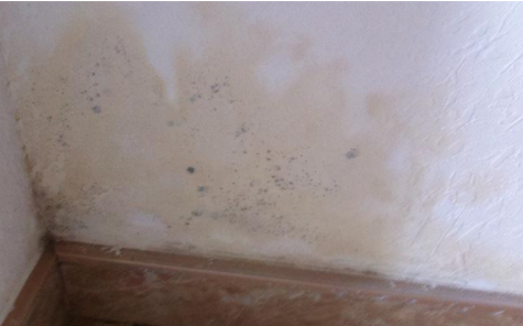 【翻新墻面除霉】墻面返潮是什么原因？墻面返潮怎么處理
