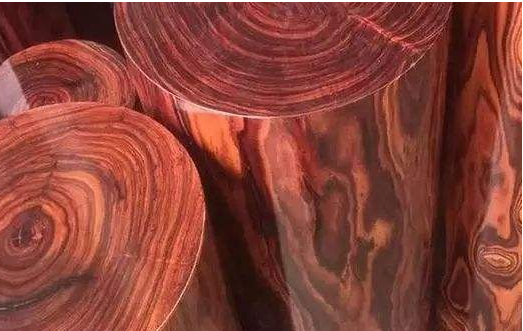 【黃花梨木家具】如何辨別海南黃花梨和越南黃花梨家具？